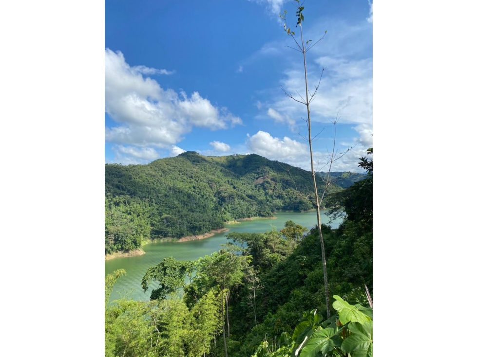 VENTA LOTE EN NORCASIA, CALDAS 10.000m² | LOTES EN VENTA EN NORCASIA - 3