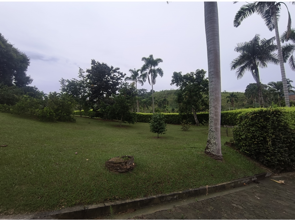 VENTA LOTE EN SAN BERNARDO DEL VIENTO, MANIZALES | LOTES CAMPESTRES — foto 2