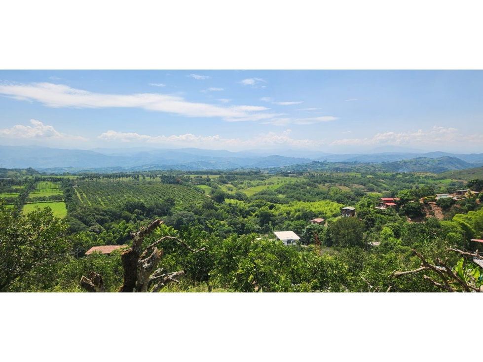 VENTA LOTE DE 1.500m² EN KILÓMETRO 41, MANIZALES | VENTA DE LOTES — foto 2