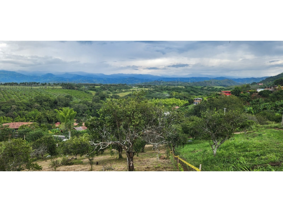 LOTE EN VENTA EN LAS MARGARITAS - CAMBIA - MANIZALES | VENTA LOTE