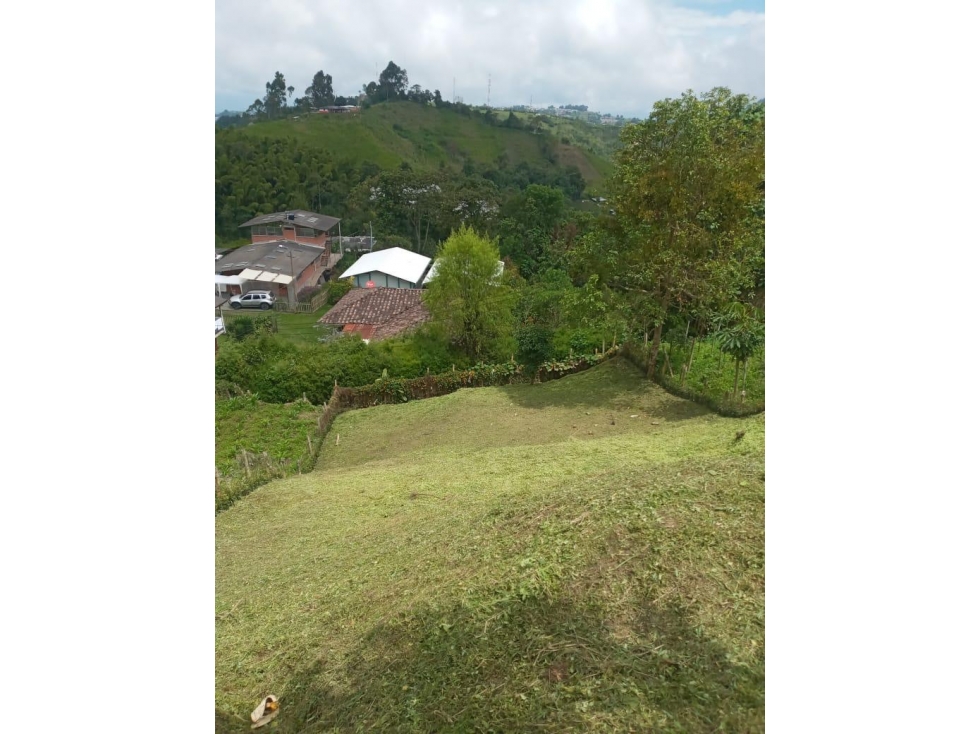 LOTE EN VENTA EN TEJARES VILLAMARÍA | VENTA DE LOTES - 2
