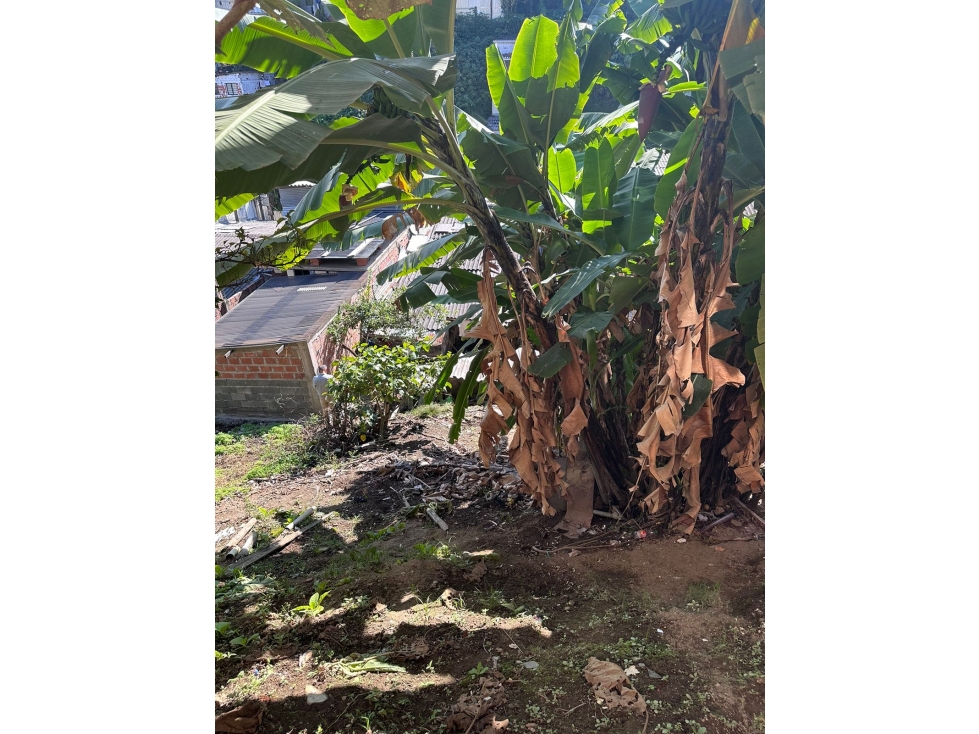 VENTA CASA LOTE EN SAN JORGE MANIZALES | VENTA CASA — foto 3