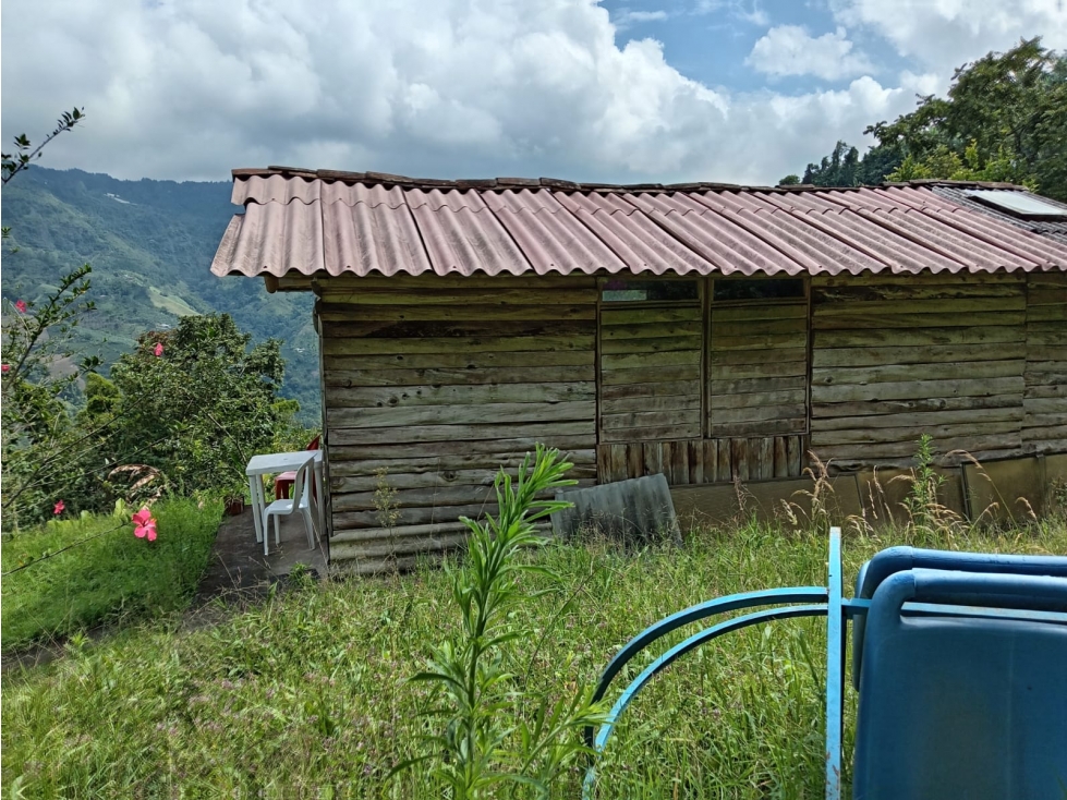 FINCA EN VENTA EN ALTO BONITO MANIZALES | VENTA DE FINCA PRODUCTIVA — foto 3