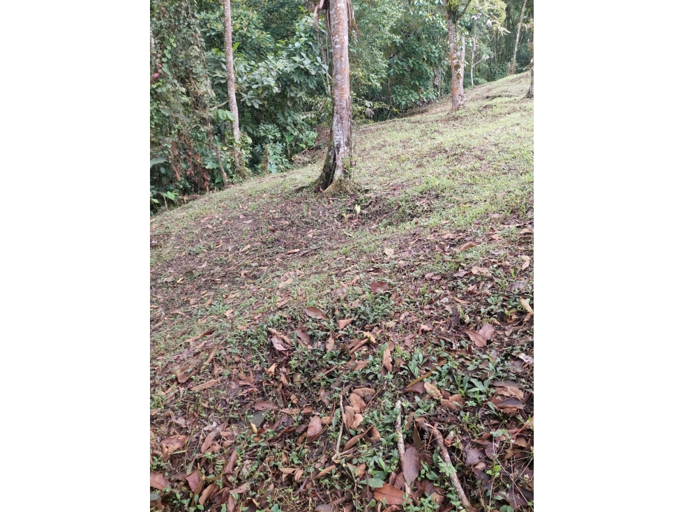 LOTE EN VENTA EN LA LINDA MANIZALES | VENTA LOTE — foto 3