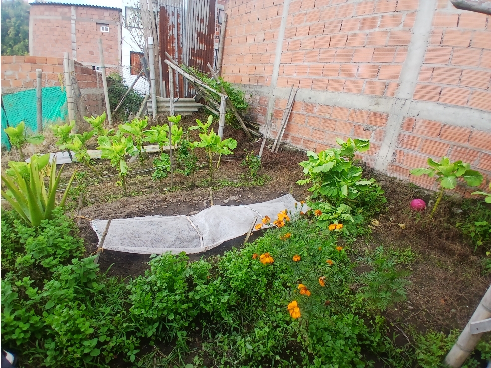 VENTA LOTE VILLA ESPERANZA MAMNIZALES | 60MTS2 — foto 2
