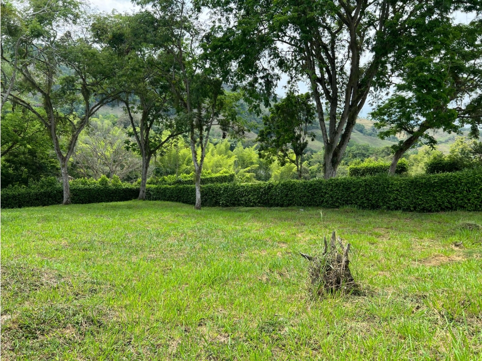 VENTA LOTE KM 41 PALESTINA | LOTE BARATO EN VENTA - 1