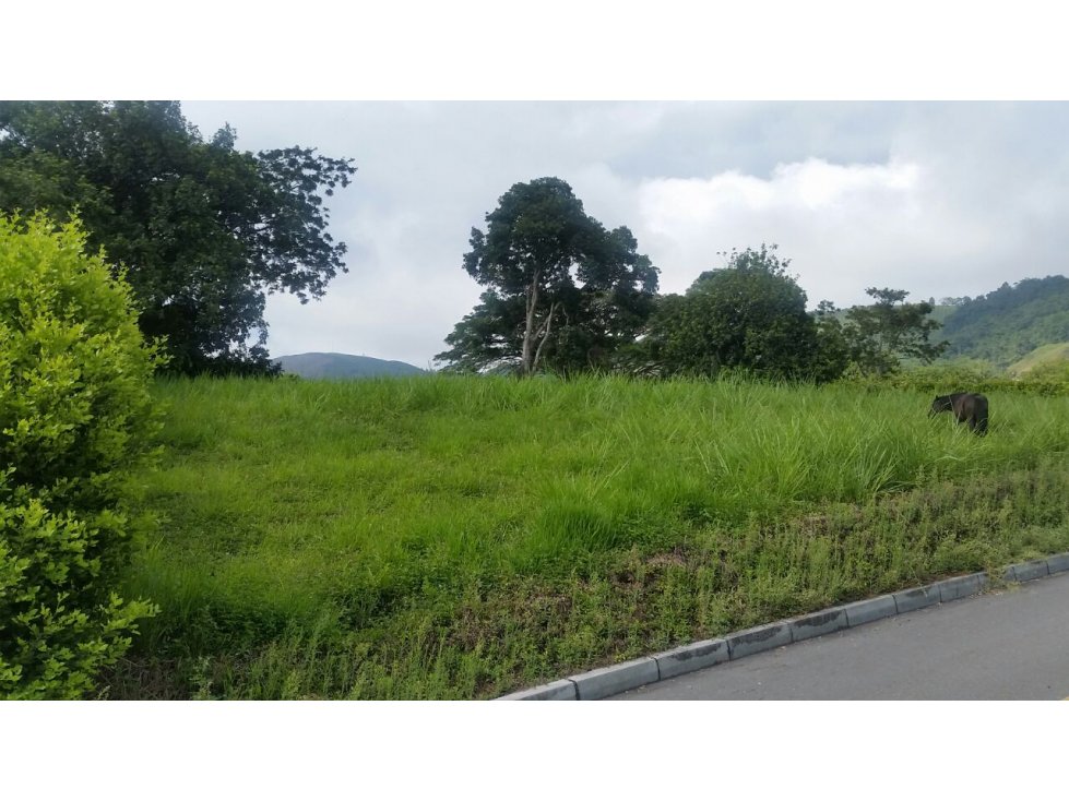 LOTE EN VENTA EN SANTÁGUEDA PALESTINA | LOTES EN VENTA - 3