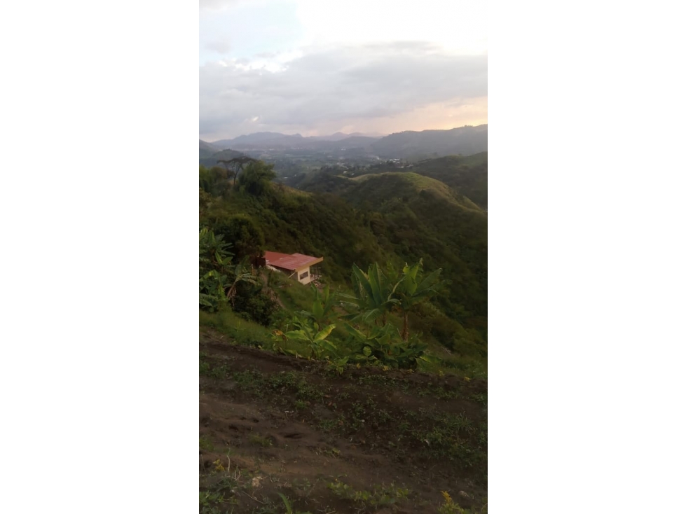 VENTA LOTE EN SAN PEREGRINO, MANIZALES | LOTES EN VENTA — foto 3