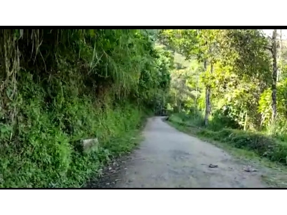 VENTA LOTE EN LA LINDA, MANIZALES | LOTES EN VENTA — foto 3
