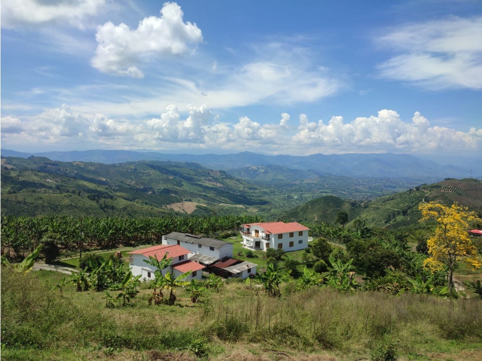 VENTA LOTE EN PALESTINA, CALDAS | LOTES EN VENTA - 3