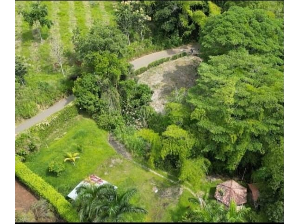 VENTA DE LOTE - LAS MARGARITAS MANIZALES | LOTES EN VENTA — foto 3