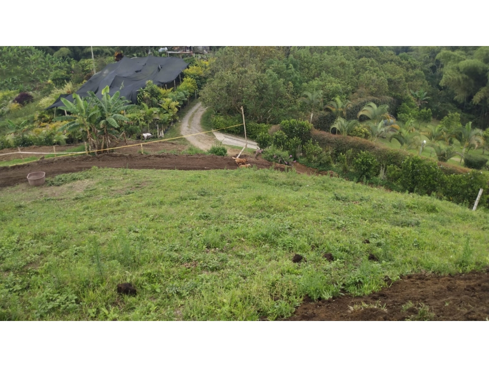 VENTA LOTE SANTÁGUEDA PALESTINA 2.500m² | LOTES EN VENTA - 3