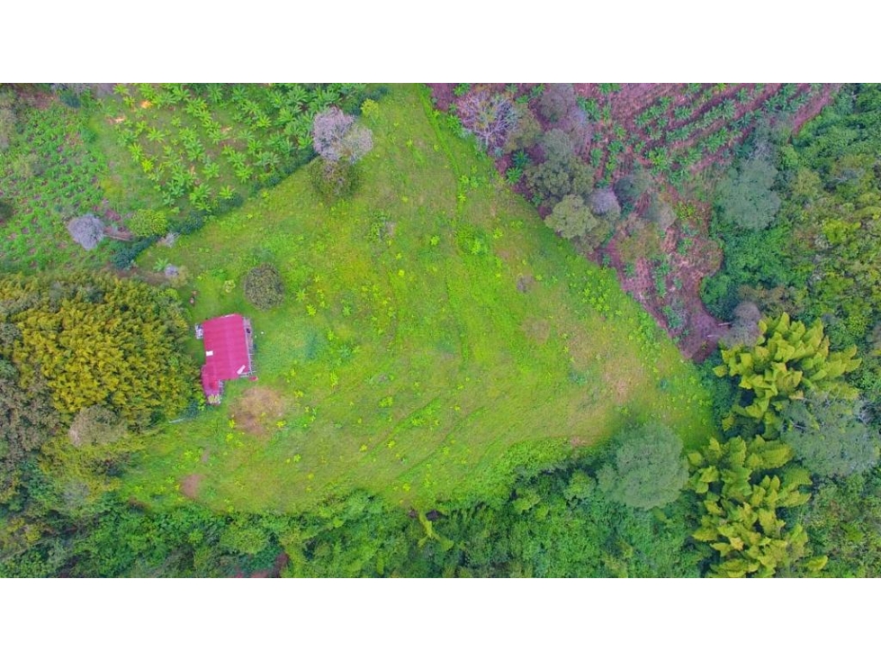 VENTA FINCA VEREDA TABOR SAN PEREGRINO | FINCA EN MANIZALES - 3