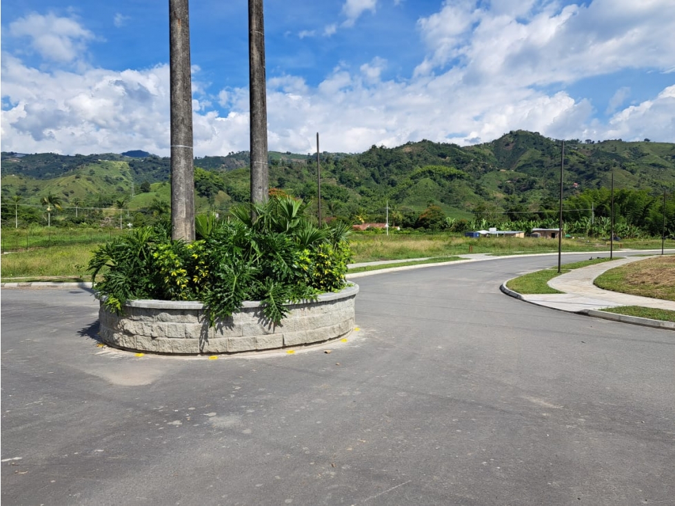 VENTA LOTE EL ROSARIO CHINCHINÁ | LOTES CAMPESTRES - 6