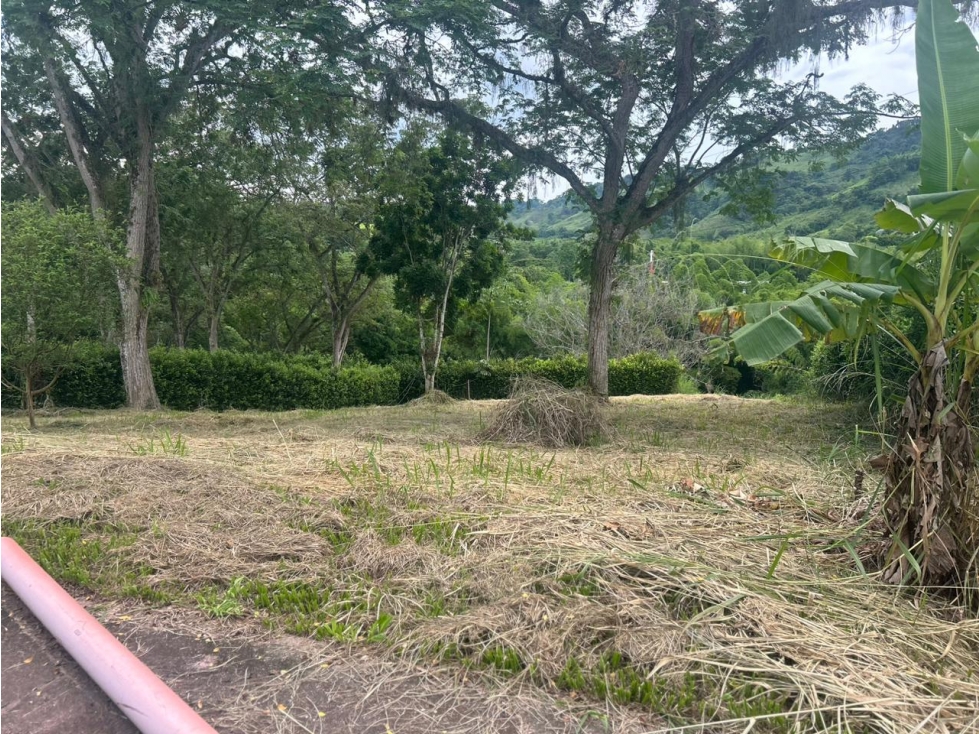VENTA LOTE PARA CASA CAMPESTRE Km 41 PALESTINA | LOTE EN VENTA - 4