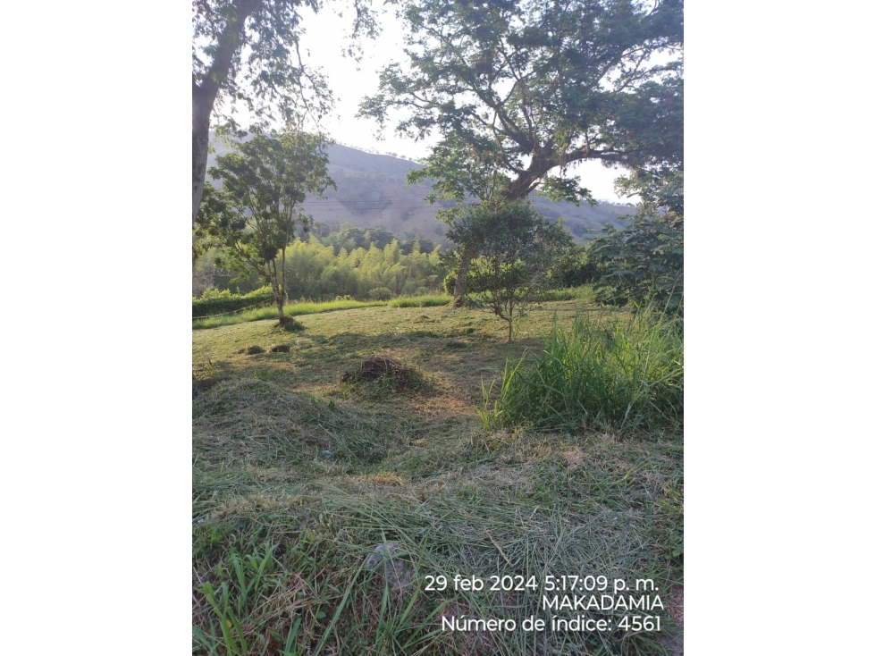 VENTA LOTE CONJUNTO CERRADO KM 41 PALESTINA | LOTE 1500 m² - 4
