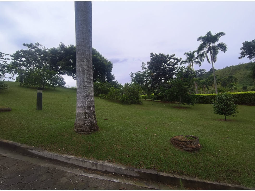 VENTA LOTE EN SAN BERNARDO DEL VIENTO, MANIZALES | LOTES CAMPESTRES — foto 4