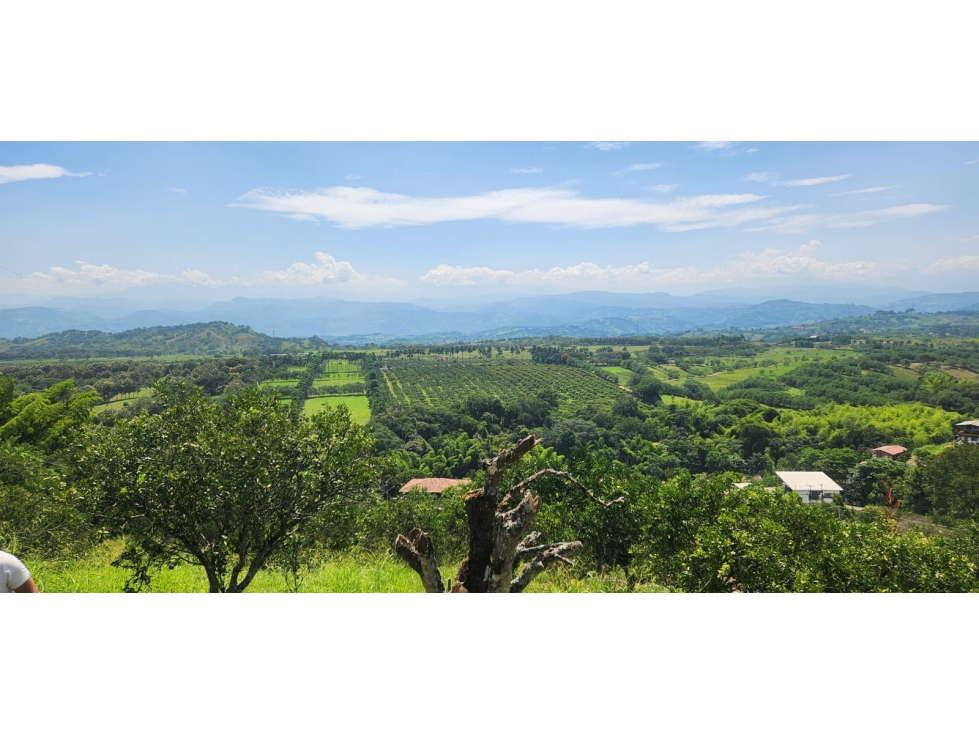 VENTA LOTE DE 1.500m² EN KILÓMETRO 41, MANIZALES | VENTA DE LOTES — foto 3