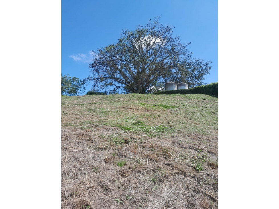 LOTE EN VENTA EN CONJUNTO CERRADO NEIRA CALDAS | LOTE EN VENTA - 3
