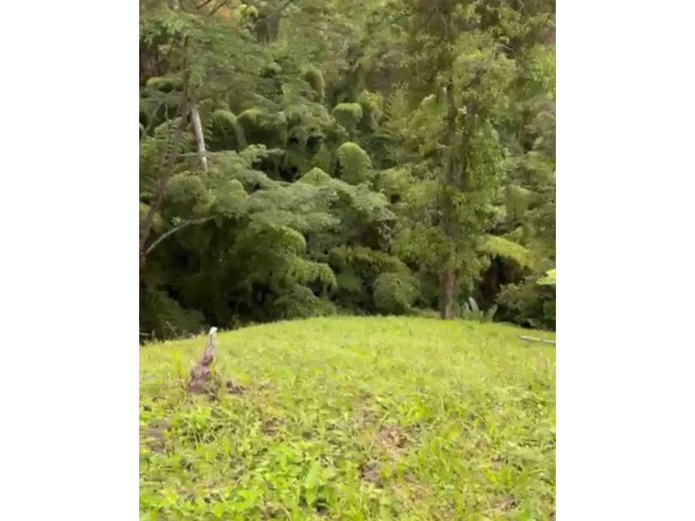 LOTE EN VENTA EN VEREDA ALTO MINITAS MANIZALES | VENTA LOTE — foto 5