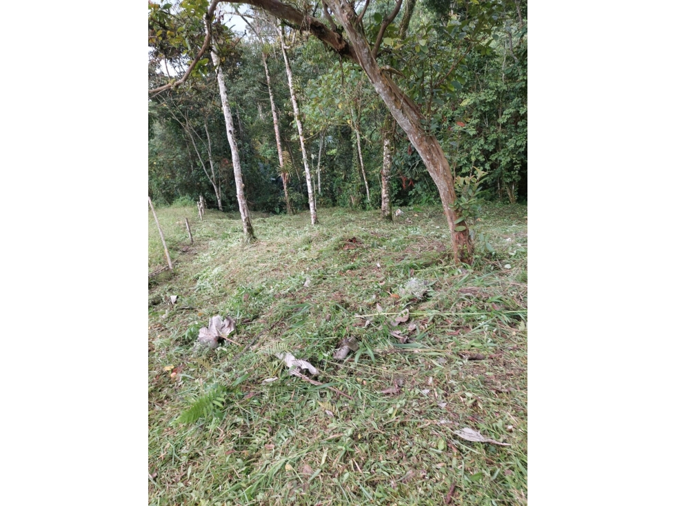 LOTE EN VENTA EN LA LINDA MANIZALES | VENTA LOTE