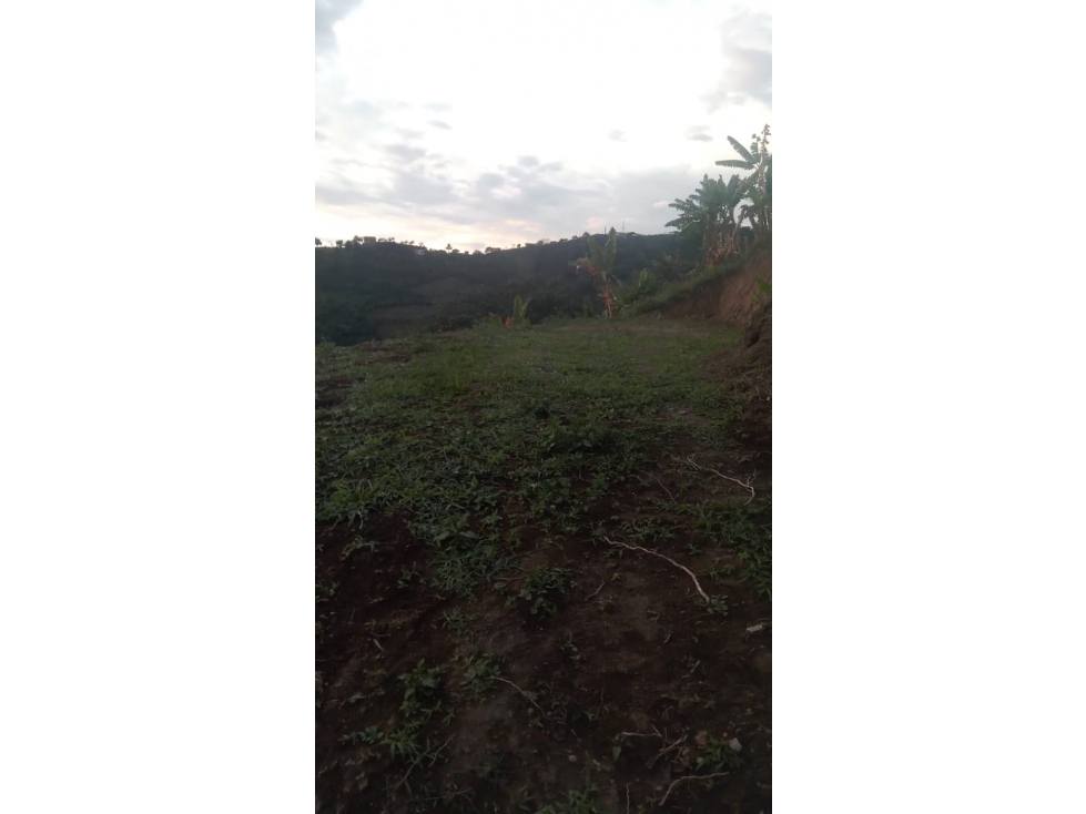 VENTA LOTE EN SAN PEREGRINO, MANIZALES | LOTES EN VENTA — foto 4