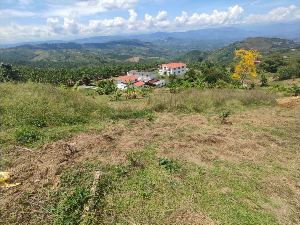 VENTA LOTE EN PALESTINA, CALDAS | LOTES EN VENTA - 1