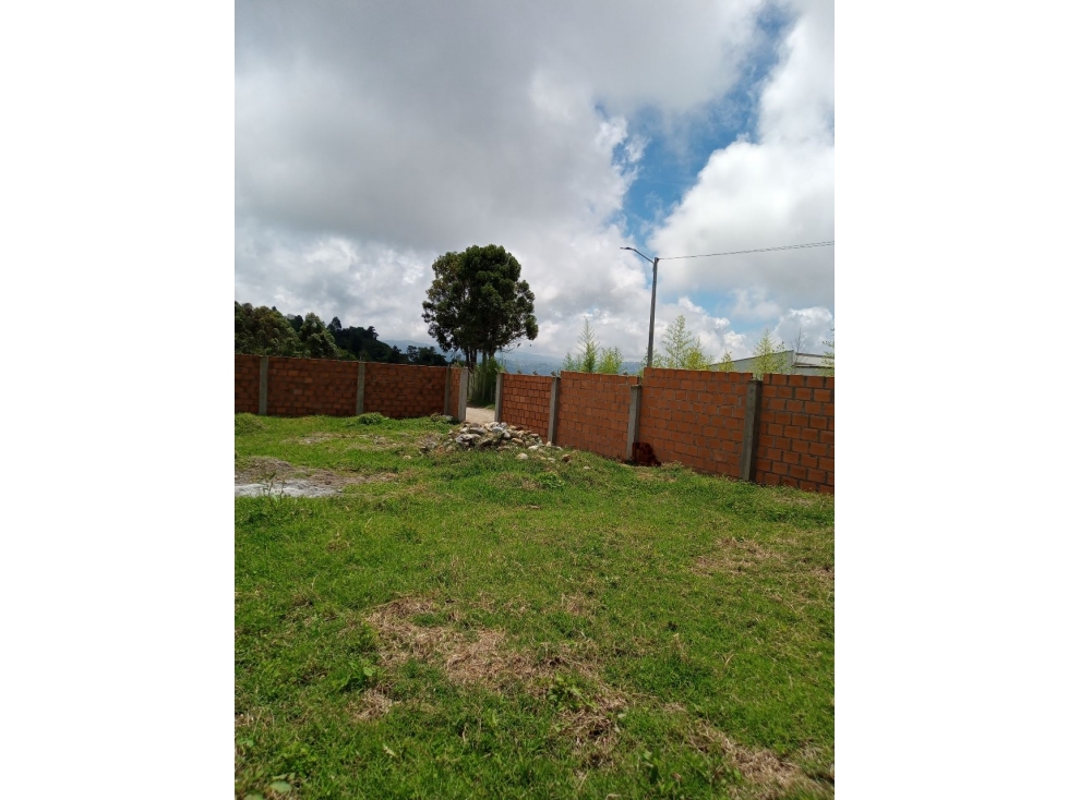 VENTA DE LOTE EN NEIRA, CALDAS - 4
