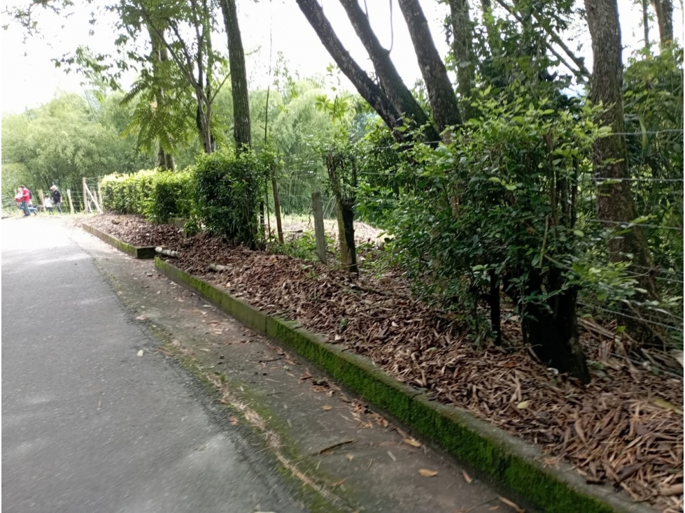 VENTA DE LOTE - LAS MARGARITAS MANIZALES | LOTES EN VENTA — foto 4
