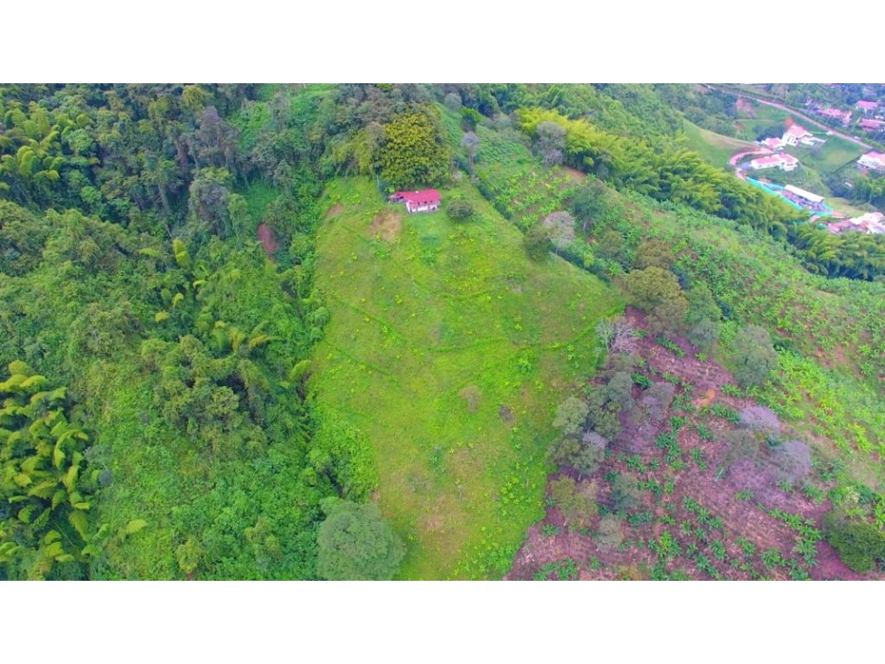 VENTA FINCA VEREDA TABOR SAN PEREGRINO | FINCA EN MANIZALES - 4