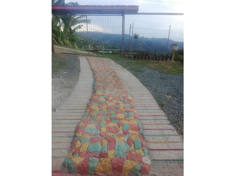 VENTA FINCA ALTO BONITO MANIZALES CON RENTAS | FINCAS EN MANIZALES - 5