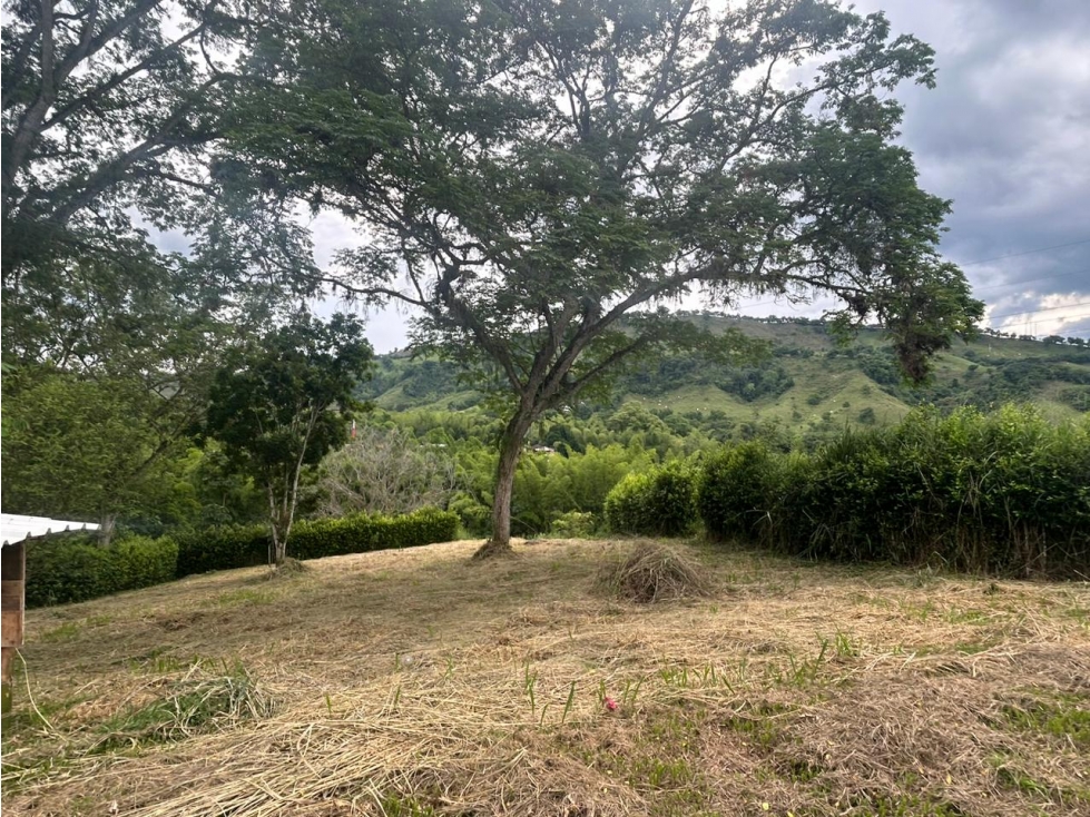 VENTA LOTE PARA CASA CAMPESTRE Km 41 PALESTINA | LOTE EN VENTA - 5