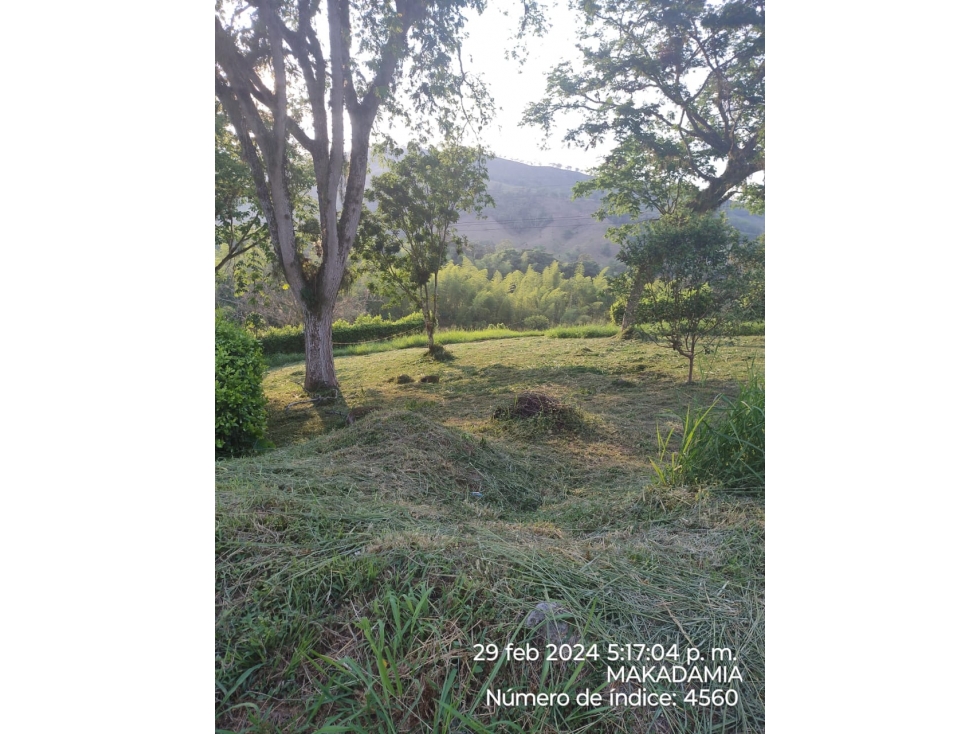 VENTA LOTE CONJUNTO CERRADO KM 41 PALESTINA | LOTE 1500 m² - 5