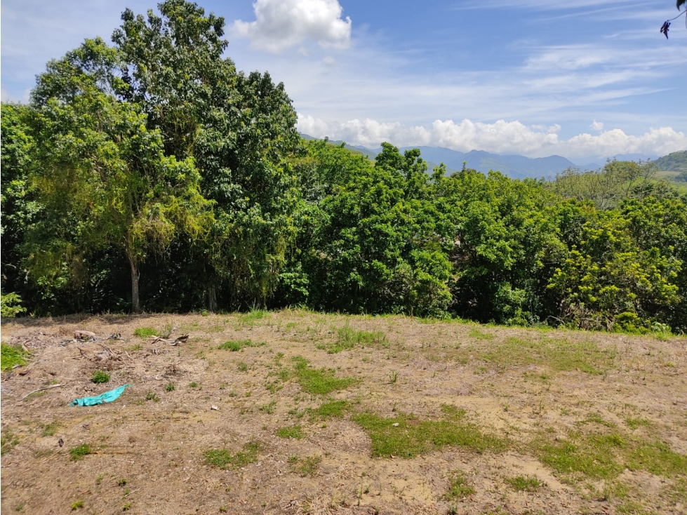 VENTA LOTE CONJUNTO CERRADO SANTÁGUEDA PALESTINA | LOTE CAMPESTRE - 4
