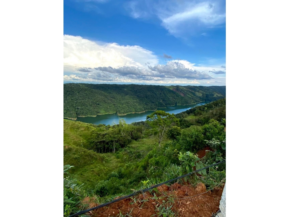 VENTA LOTE EN NORCASIA, CALDAS 10.000m² | LOTES EN VENTA EN NORCASIA - 4