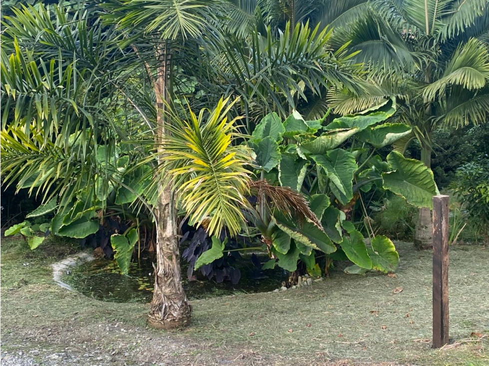 VENTA DE LOTE EN EL ARENILLO, MANIZALES | LOTES CAMPETRES EN VENTA — foto 4