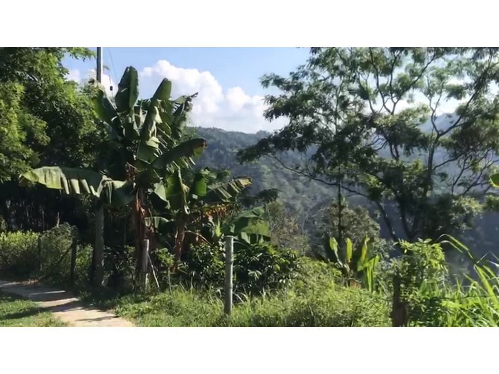 VENTA LOTE BARATO EN ALTOS DEL NARANJO MANIZALES | LOTES EN VENTA — foto 4