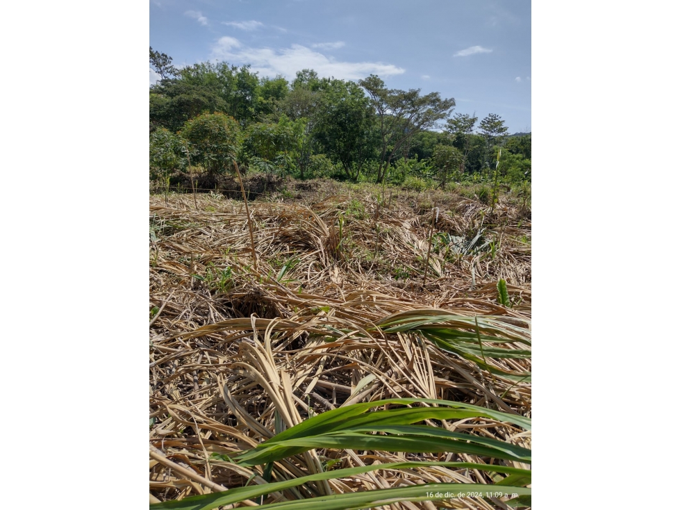 VENTA LOTE EN LA VIRGINIA RISARALDA | LOTES EN VENTA - 4