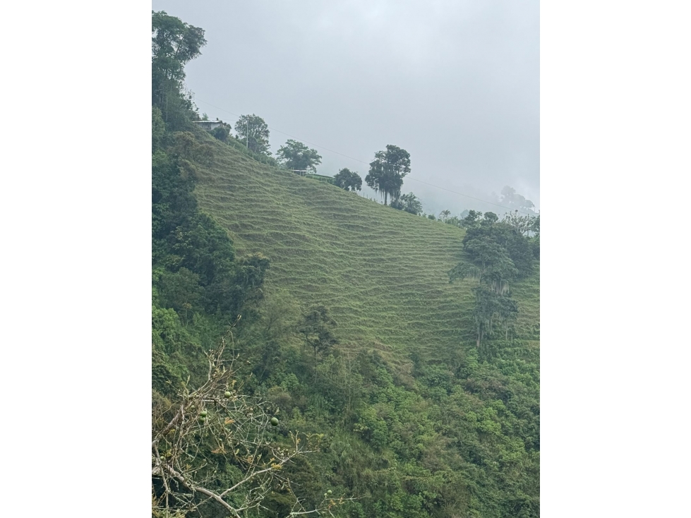 LOTE EN VENTA EN VEREDA LA AURORA MANIZALES | VENTA TERRENO — foto 5
