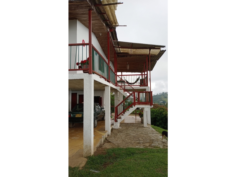 FINCA EN VENTA EN RISARALDA CALDAS | VENTA DE FINCAS - 6