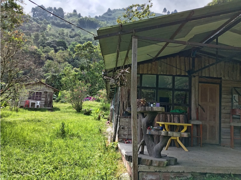FINCA EN VENTA EN ALTO BONITO MANIZALES | VENTA DE FINCA PRODUCTIVA — foto 5