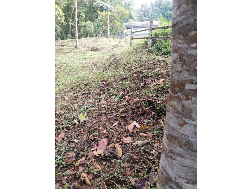 LOTE EN VENTA EN LA LINDA MANIZALES | VENTA LOTE — foto 4