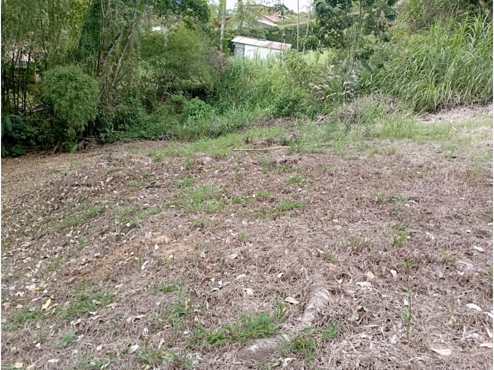 VENTA DE LOTE - LAS MARGARITAS MANIZALES | LOTES EN VENTA — foto 5