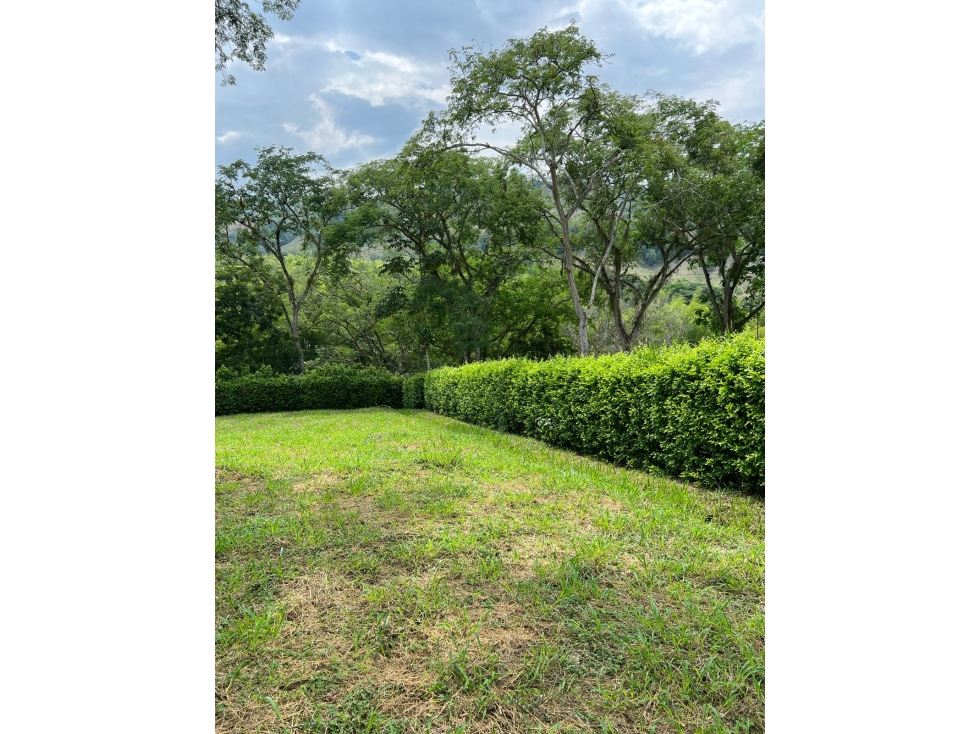 VENTA LOTE KM 41 PALESTINA | LOTE BARATO EN VENTA - 6