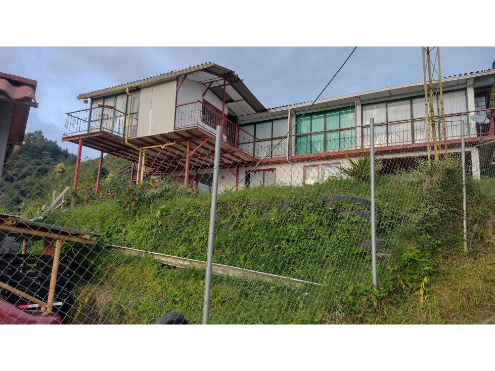 VENTA FINCA ALTO BONITO MANIZALES CON RENTAS | FINCAS EN MANIZALES - 6
