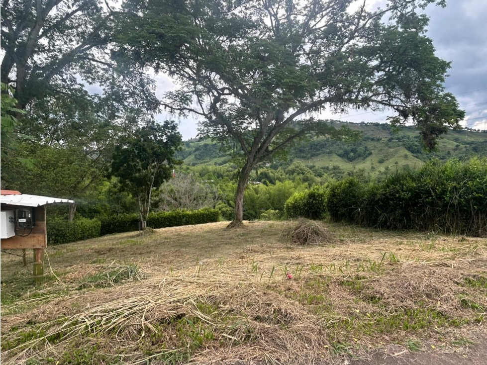 VENTA LOTE PARA CASA CAMPESTRE Km 41 PALESTINA | LOTE EN VENTA - 1