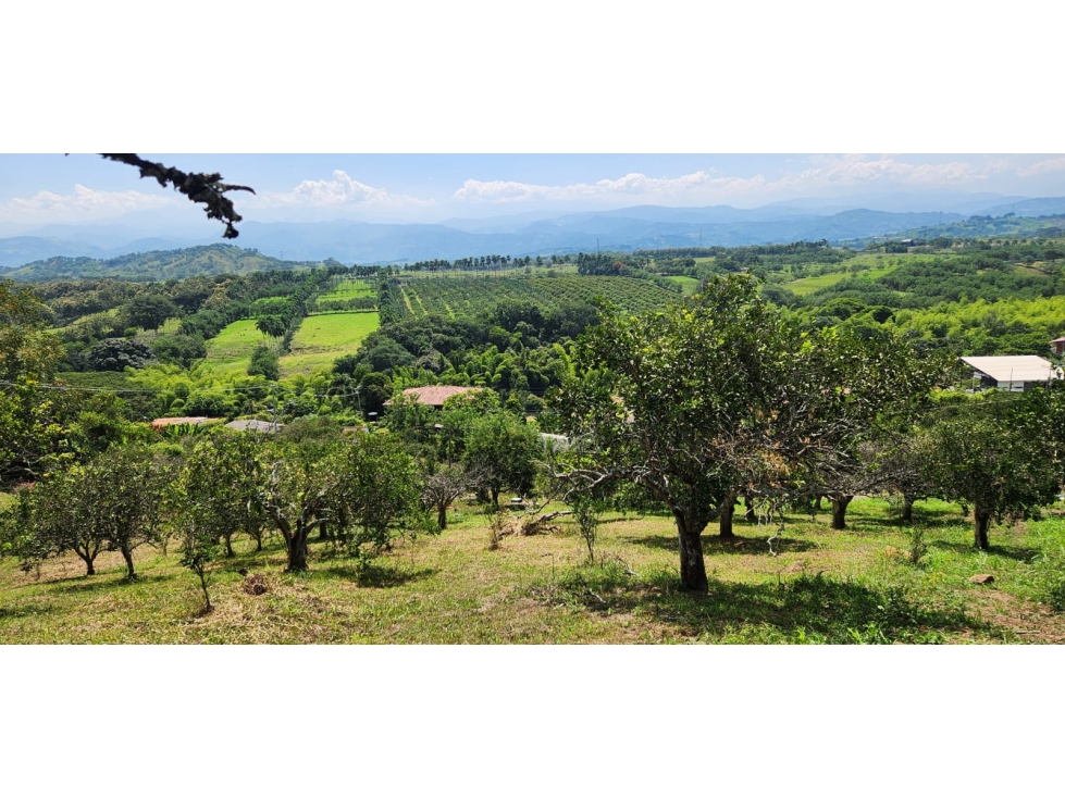 VENTA LOTE DE 1.500m² EN KILÓMETRO 41, MANIZALES | VENTA DE LOTES — foto 5