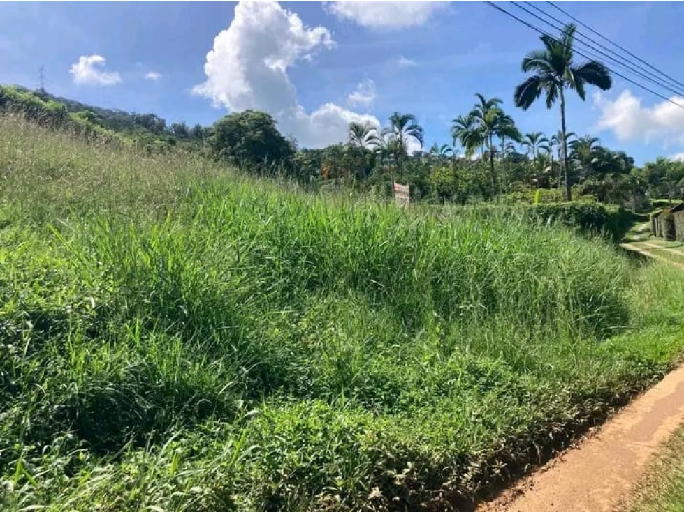 LOTE EN VENTA CONJUNTO CERRADO EN LIBANO LAS MARGARITAS | VENTA LOTE - 5