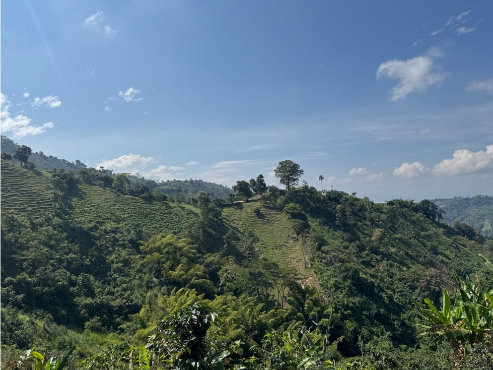 LOTE EN VENTA EN VEREDA LA AURORA MANIZALES | VENTA TERRENO — foto 6