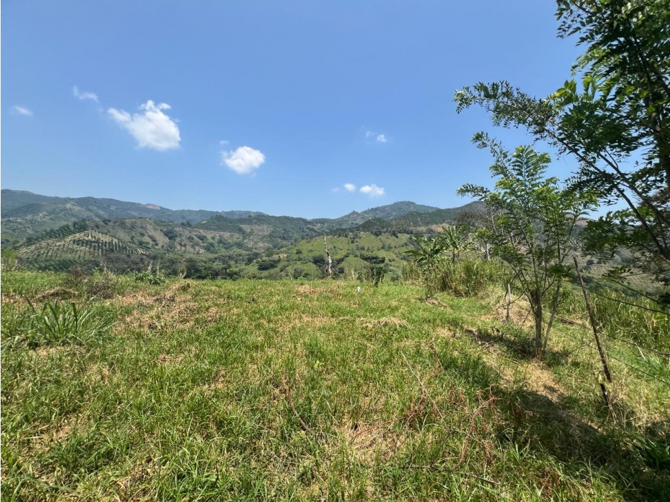 53 LOTES CAMPESTRES EN VENTA DESDE 950m² HASTA 2500m² LAS MARGARITAS — foto 6